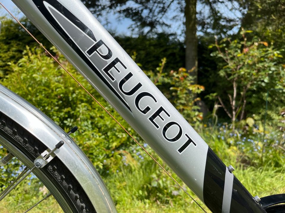 Fahrrad Herren, Männer, Peugeot in Garbsen