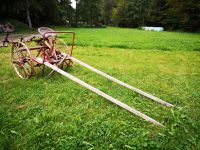 Heuwender / Gabelwender Fahr / Scheunenfund / Antik Baden-Württemberg - Freiamt Vorschau