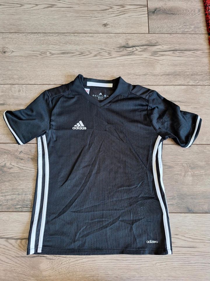 Adidas Shirts und Shorts, Jungen, Größe 140 / 146 in Gladbeck