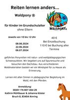 Reitpädagogik Angebot Waldpony Grundschulkinder Bayern - Ainring Vorschau