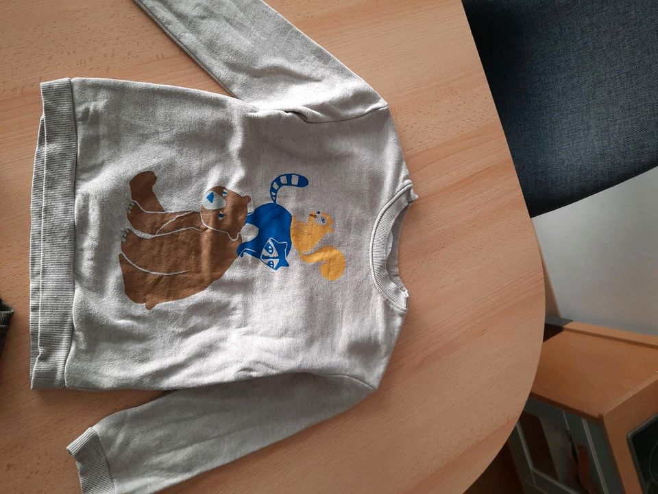 Pullover Gr. 110/116 kinder H & M neuwertig in Wächtersbach