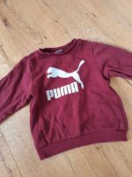 Puma pulli Bayern - Bad Windsheim Vorschau