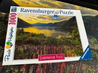 Ravensburger Puzzle 1000 Teile Skandinavien Wandsbek - Hamburg Poppenbüttel Vorschau