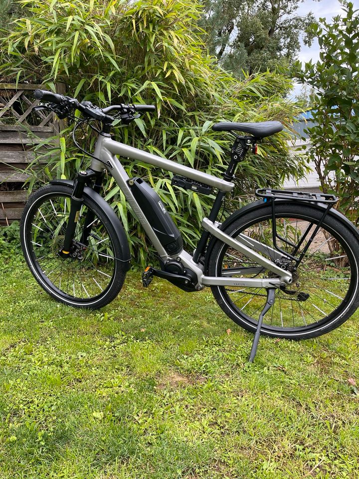 E-Bike Winora in Wiesbaden