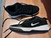 Nike Damen Schuhe Größe 38 Hessen - Bad Homburg Vorschau