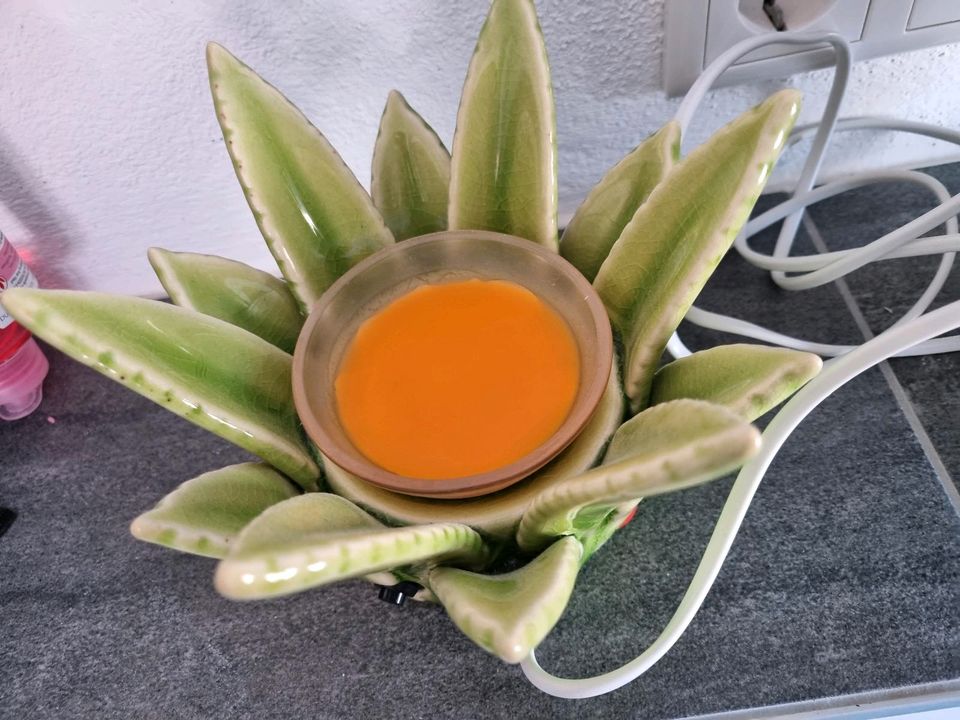 Scentsy Duftlampe Aloe Vera in Bamberg