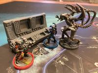 Vorschaubild einer Anzeige von 3D Brettspiele