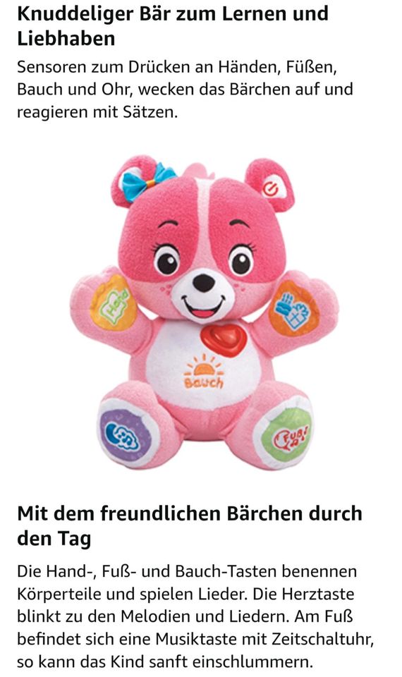 vtech Entdeckerbärchen in Roding