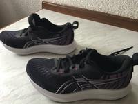 Asics Damenlaufschuhe TSURUGI Größe 38 Hessen - Höchst im Odenwald Vorschau