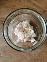 Tibetischer Milchkefir Kefir fermentation Probiotisch Jogurt Käse Obergiesing-Fasangarten - Obergiesing Vorschau