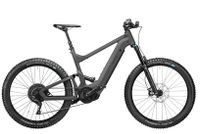 Riese + Müller Delite Mountain XT 625Wh SONDERPREIS statt 7349.- Leipzig - Großzschocher Vorschau