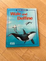 Buch Erstes Wissen Wale und Delfine Bayern - Ziemetshausen Vorschau