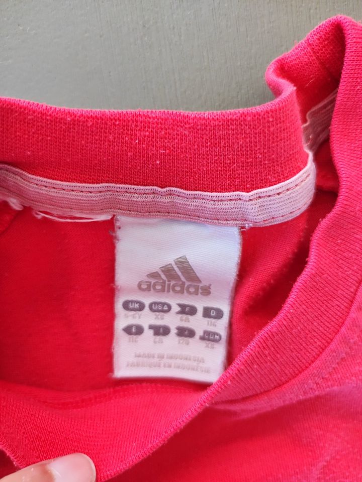 Rotes Adidas T-Shirt Gr. 116 in Moos