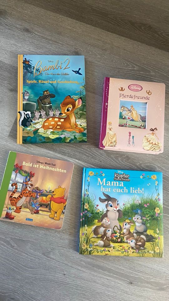 Disney Bücher in Nienburg (Weser)