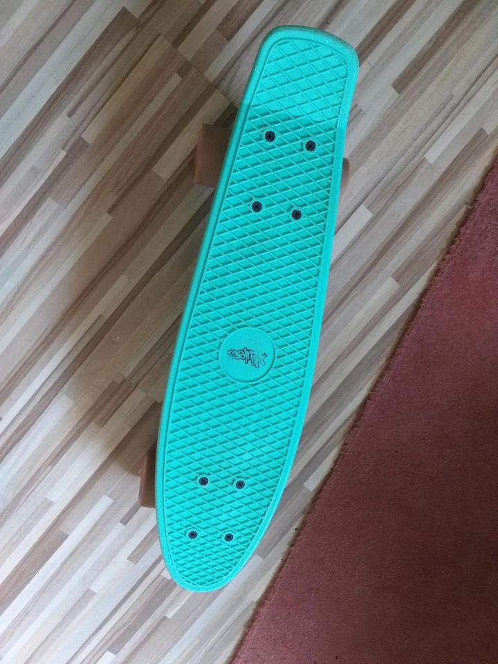 Penny- Board in Hatten