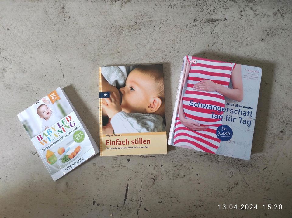 Bücher Schwangerschaft in Heilbronn
