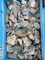 Mineralien Versteinerungen Nordrhein-Westfalen - Witten Vorschau