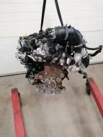 Motor Komplett AUDI Q3 CUV CUVD 2.0 TDI 63.000km 184 PS Brandenburg - Küstriner Vorland Vorschau