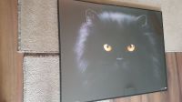Poster schwarzer Kunststoffrahmen schwarzer Perser Katzenposter Bayern - Langenzenn Vorschau