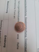 2 cent münze 1999 Niederlande (sehr selten) Bayern - Greding Vorschau