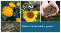 Acker, Garten:  300 - 2000 qm für Permakultur zu kaufen gesucht Bayern - Großaitingen Vorschau