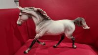 Breyer repaint J. Claus Montecello USA Bayern - Neu Ulm Vorschau