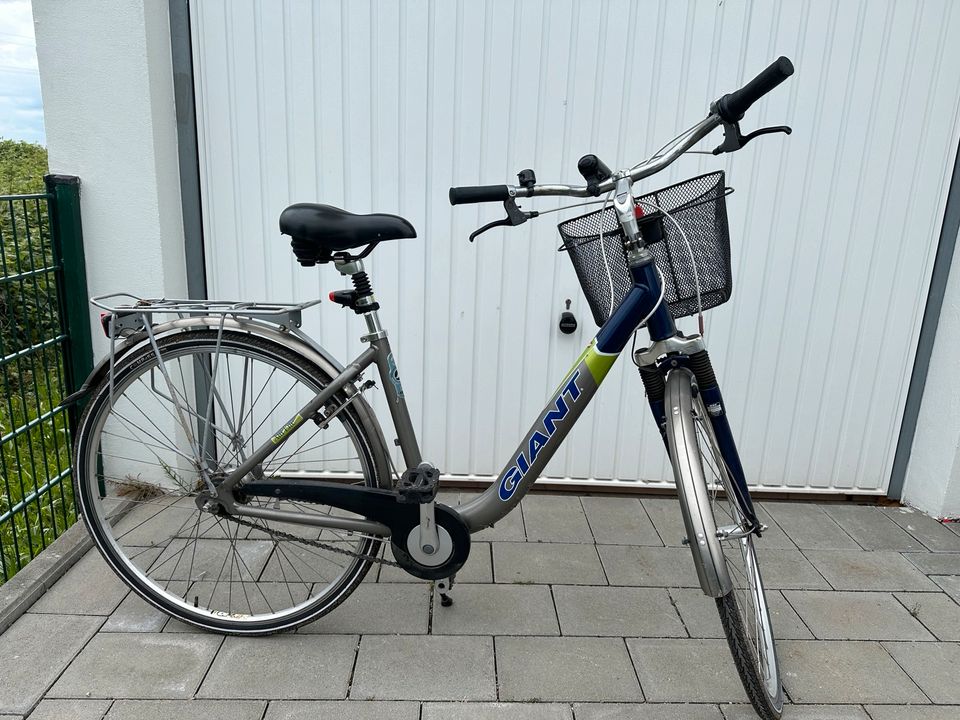 Damen fahrrad Giant 28 zoll in Heinsberg