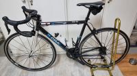 Rennrad Chaka mit Shimano Ultegra DT Swiss Laufräder Rheinland-Pfalz - Hochstadt Vorschau