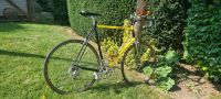 Rennrad Gios Mitte 1990 14-Gang Columbus Basso Shimano Campagnolo Niedersachsen - Diekholzen Vorschau