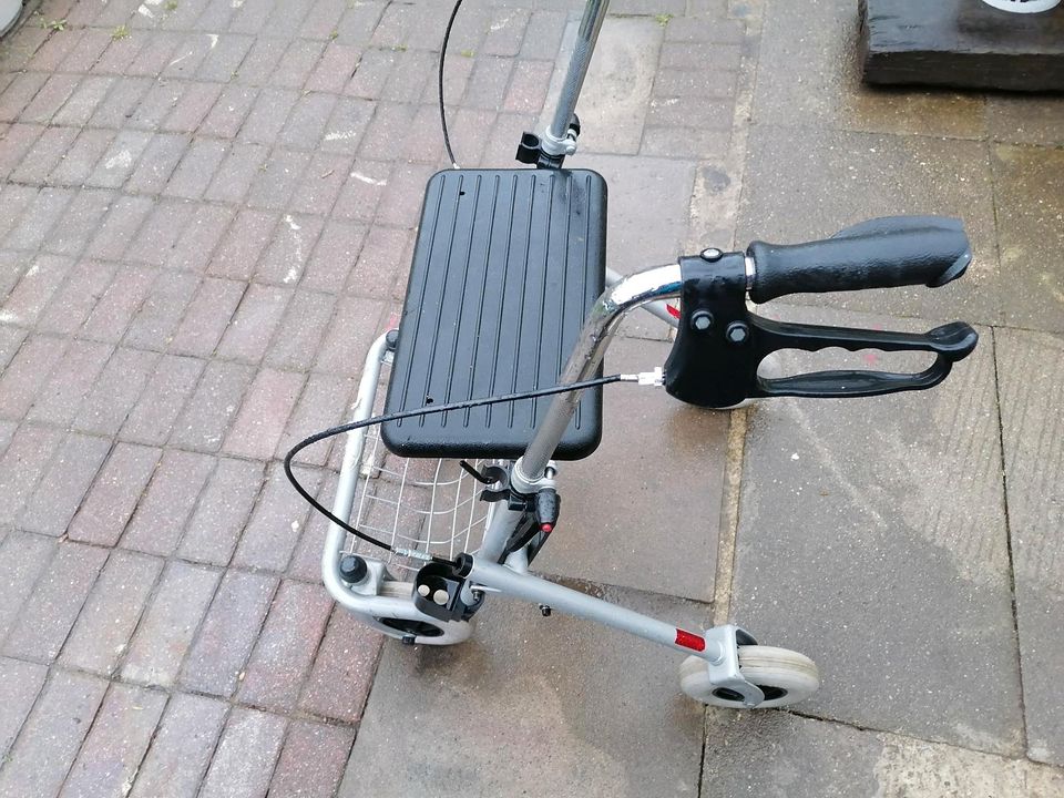 Rollator 130kg in Hamburg