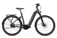 Reduziert *NEU* FLYER E-Bike Gotour 6 7.23 // Zweiradhaus Grave Niedersachsen - Hagen am Teutoburger Wald Vorschau