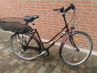 Gut erhaltenes City Sport Fahrrad Univega 28", 50cm Rahmenhöhe Schleswig-Holstein - Reinfeld Vorschau