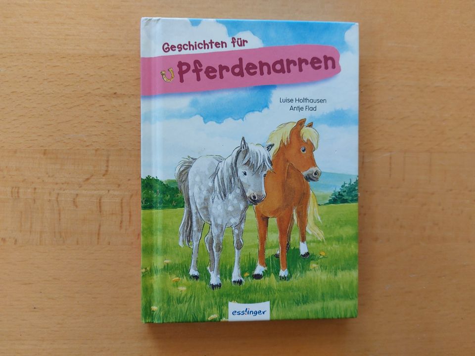 Geschichten für Pferdenarren Esslinger Holthausen Flad - Minibuch in Schweitenkirchen