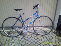 Francesco Moser Rennrad Damen Oldtimer Ultegra Campagnolo Record Bayern - Windorf Vorschau