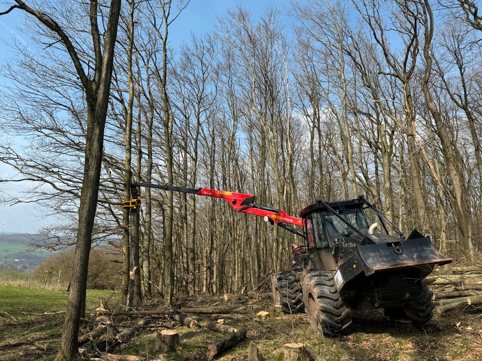 Forstwirtschaftliche Dienstleistungen, Holzernte, Baumfällung in Bexbach