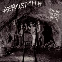 LP Aerosmith: Night In The Ruts Hard Rock Vinyl Bayern - Seinsheim Vorschau