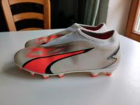 Puma Fußballschuhe Gr. 37,5 Schleswig-Holstein - Nortorf Vorschau