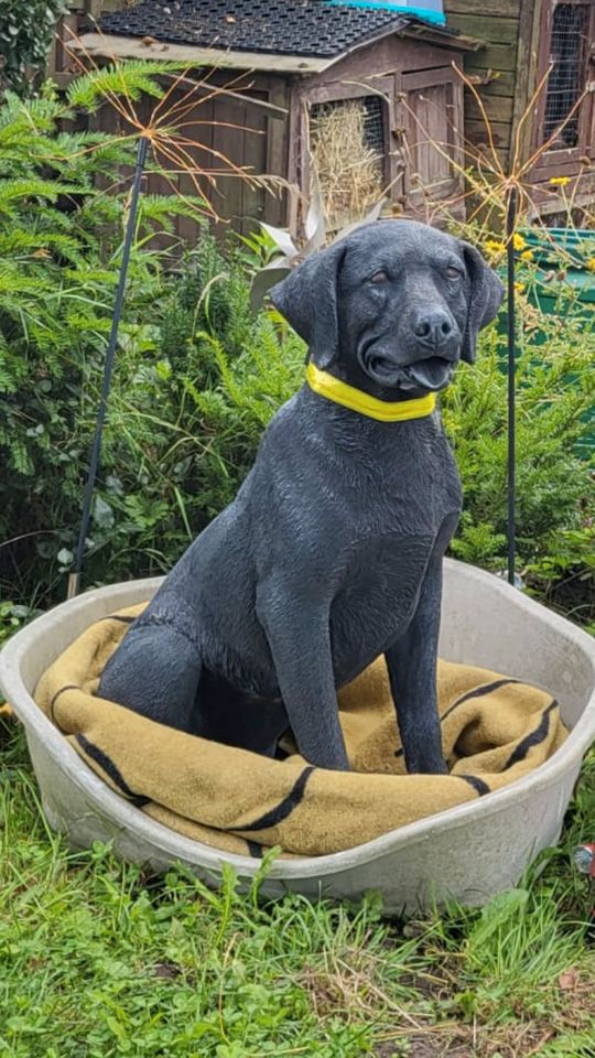 Labrador Retriever 80cm 90kg Lebensgroß Steinguss Labbi Lab Hund in Hamburg