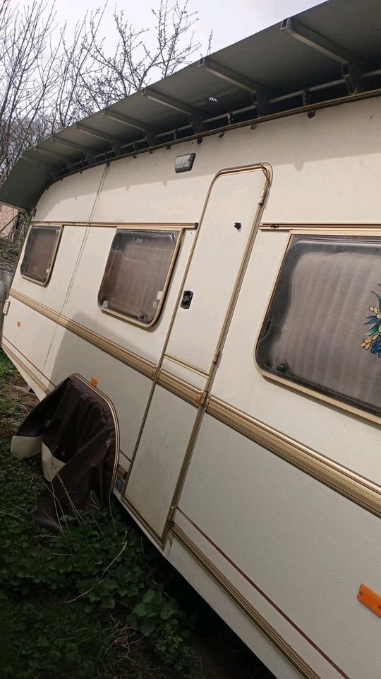 Wohnwagen Tabbert Comtesse am Natur-Camping am See in Mönchengladbach