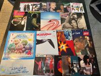 Vintage Schallplatten Sammlung Vinyl Elvis Cher Karat Nordrhein-Westfalen - Recklinghausen Vorschau