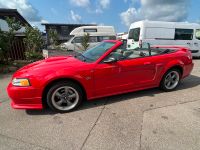 Ford Mustang Cabrio GT8V Baden-Württemberg - Tuttlingen Vorschau