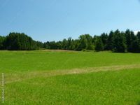 Suche Wiese Grünland landwirtschaftlicher Nutzgrund Pacht / Kauf Bayern - Siegsdorf Vorschau