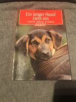 Ein junger Hund zieht ein von Claudia Ludwig Für alle Hundeeltern Nordrhein-Westfalen - Hamm Vorschau
