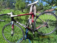 Rennrad Trek Madone mit Sram Force Gr 56 Bayern - Unterammergau Vorschau
