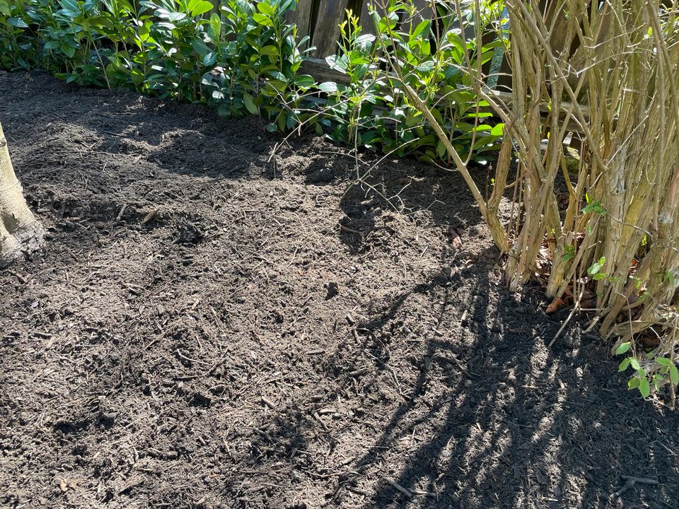 Frische Komposterde Kompost Blumenerde Gartenerde Dünger Erde in Schloß Holte-Stukenbrock