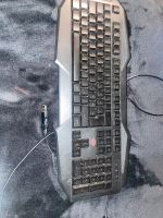 Gaming Tastatur Avonn gxt 830 Rw Niedersachsen - Neuenkirchen - Merzen Vorschau