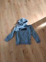 Puma Hoodie Gr. 140 Niedersachsen - Bad Münder am Deister Vorschau