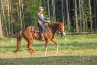 Beritt/Ausbildung/Korrektur von Pferden (Western/Altkalifornisch) Niedersachsen - Walsrode Vorschau