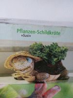 Pflanztopf, Blumentopf Schildkröte Baden-Württemberg - Gottmadingen Vorschau