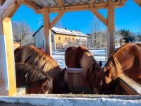 Pflegebeteiligung Bayern - Halfing Vorschau